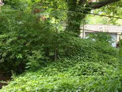 4015 Beechwood Blvd, Pittsburgh, PA