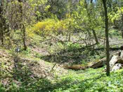 330 Becks Run Rd, Pittsburgh, PA